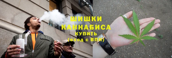 ГАЛЛЮЦИНОГЕННЫЕ ГРИБЫ Арсеньев