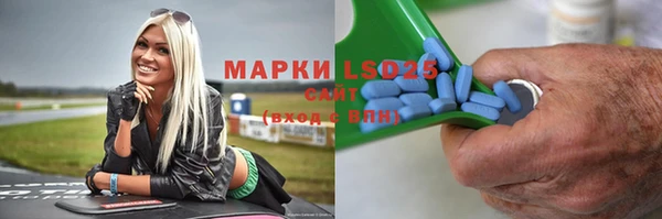 ECSTASY Алзамай