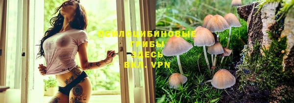 ГАЛЛЮЦИНОГЕННЫЕ ГРИБЫ Арсеньев
