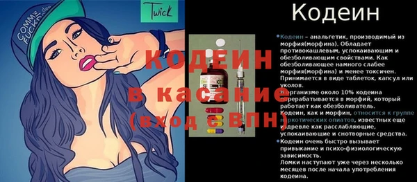 ГАЛЛЮЦИНОГЕННЫЕ ГРИБЫ Арсеньев