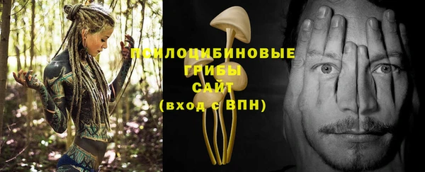 ГАЛЛЮЦИНОГЕННЫЕ ГРИБЫ Арсеньев